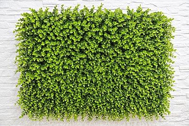 开放世界FPS《红霞岛》全新预告 明年发售